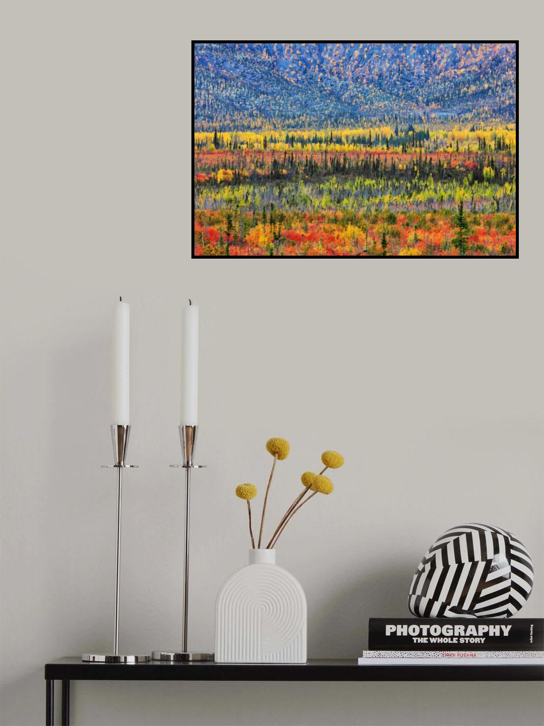 Fall Color in The Mountain Poster och Canvastavla