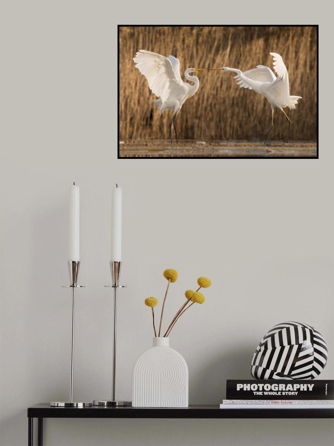 Tit for tat Poster och Canvastavla
