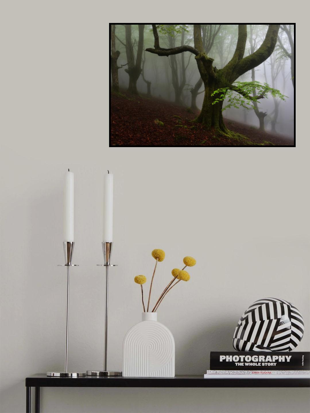 Walking trough the foret. Poster och Canvastavla