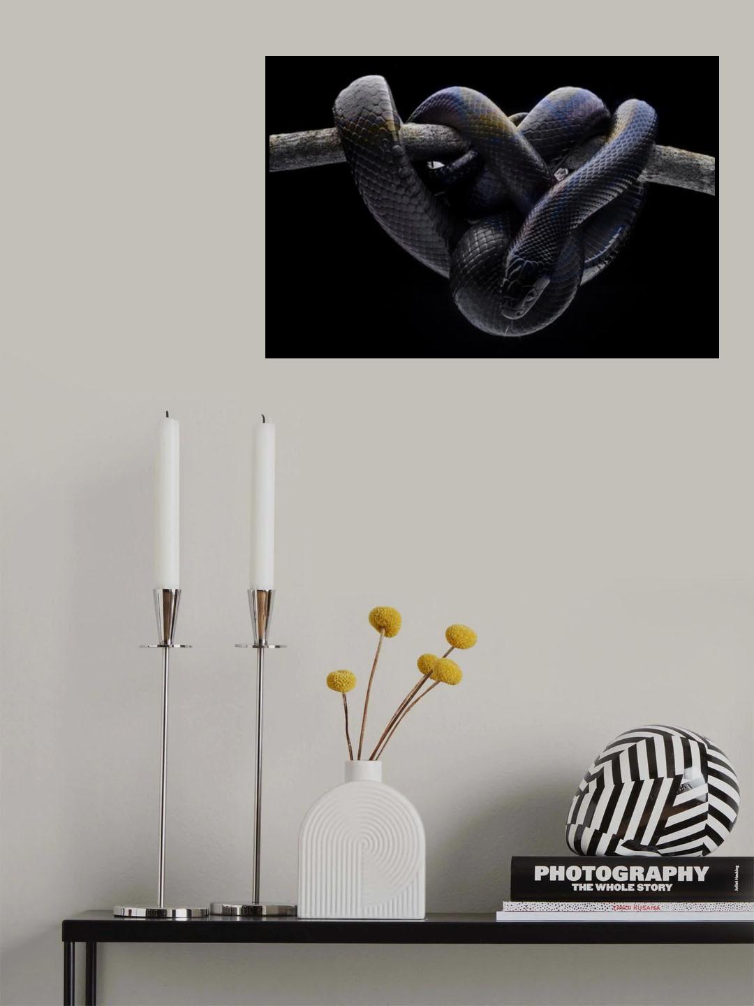 Dark Evil Poster och Canvastavla