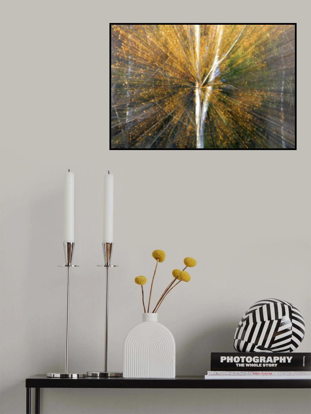 Zoom Poster och Canvastavla