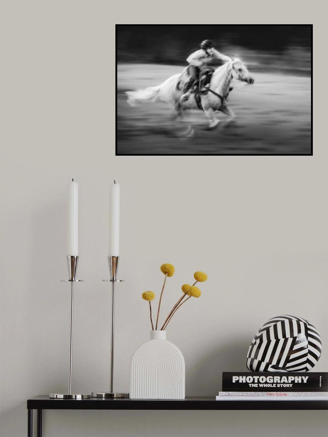 Gallop Poster och Canvastavla