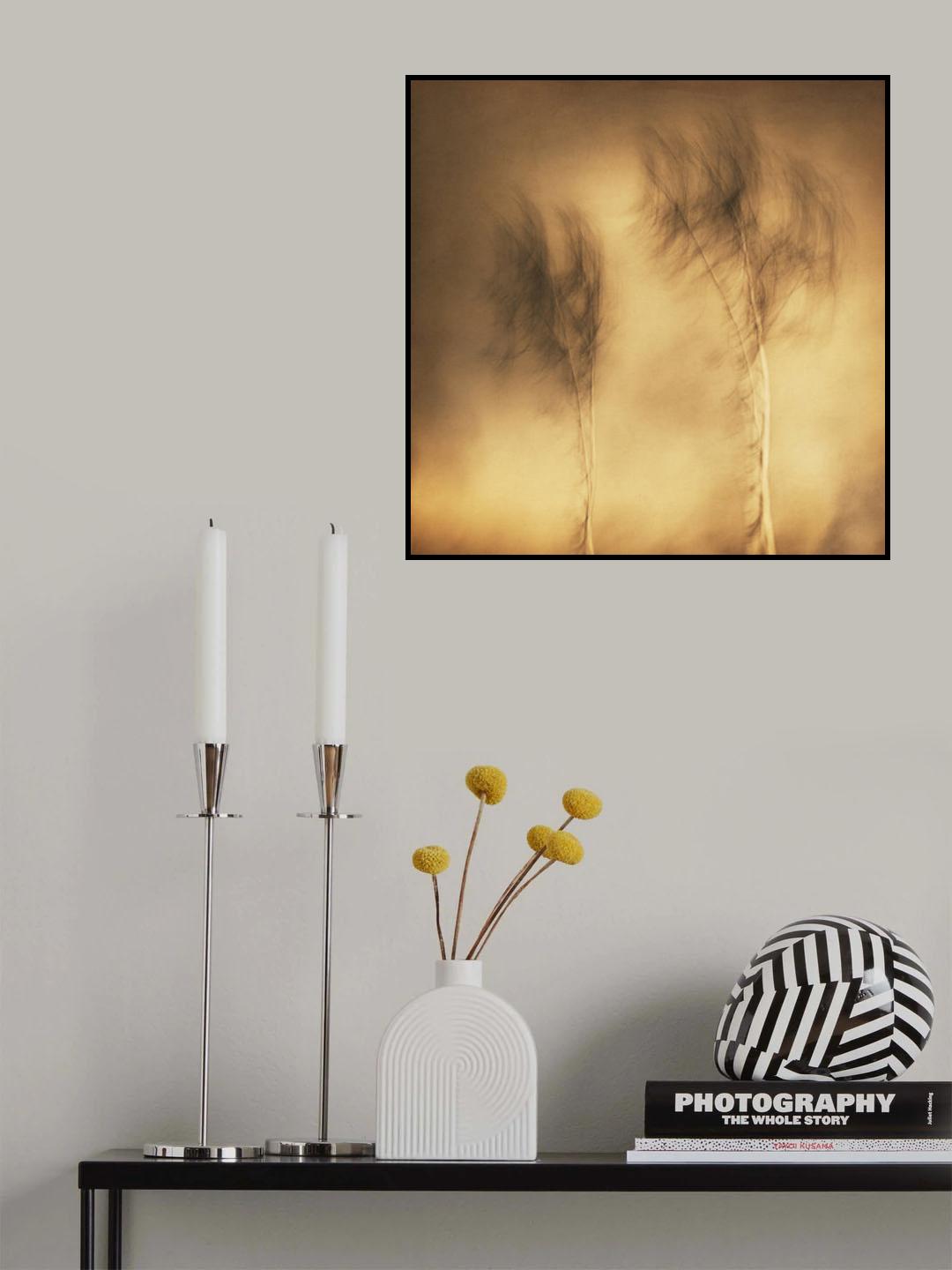Wind Poster och Canvastavla