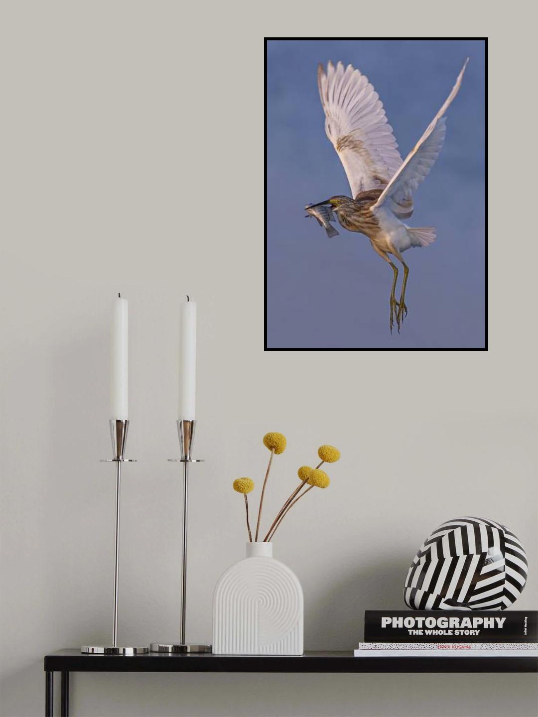 Searching for life. Poster och Canvastavla