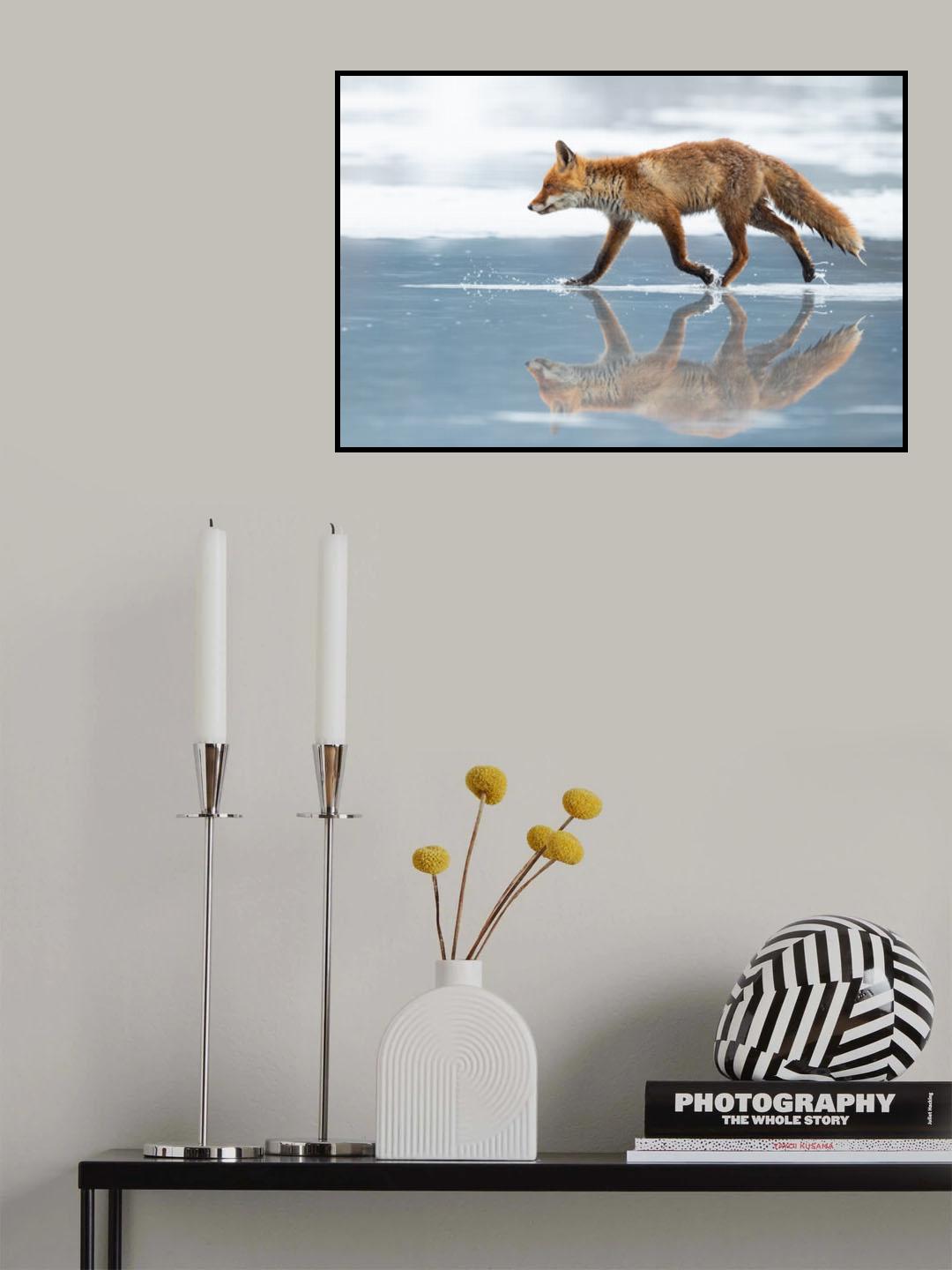 Red Fox Poster och Canvastavla