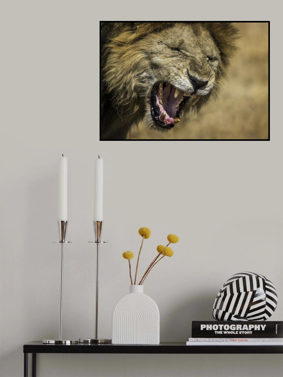 Lion Poster och Canvastavla