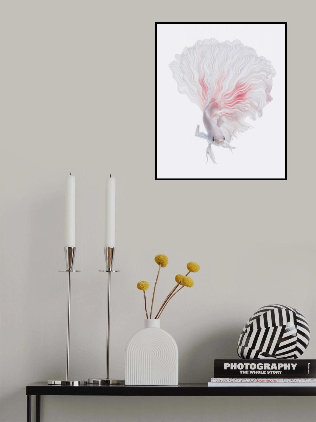 ROOT BETTA Poster och Canvastavla
