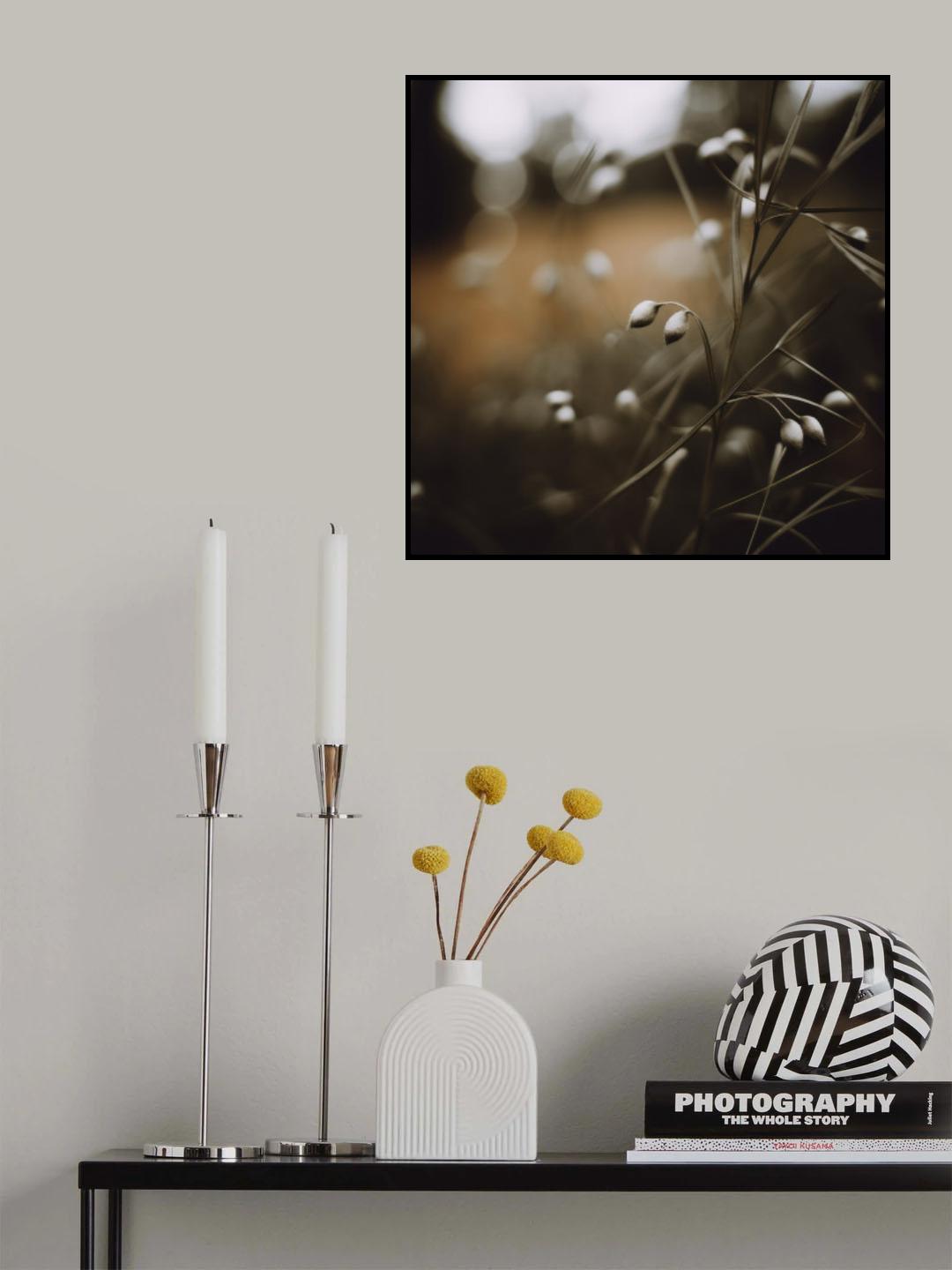 Lowlight Nature No 8 Poster och Canvastavla