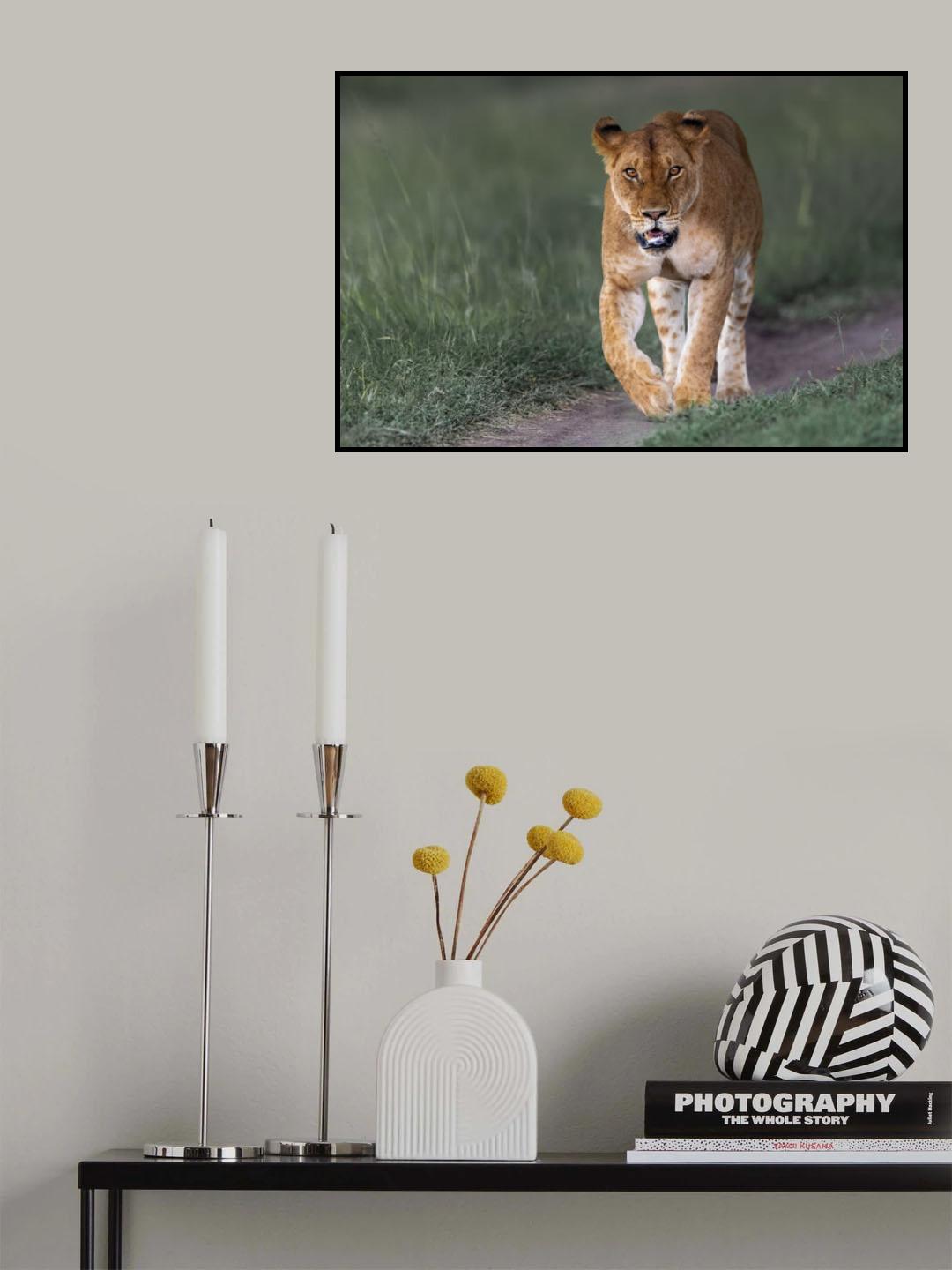 Poster och Canvastavla