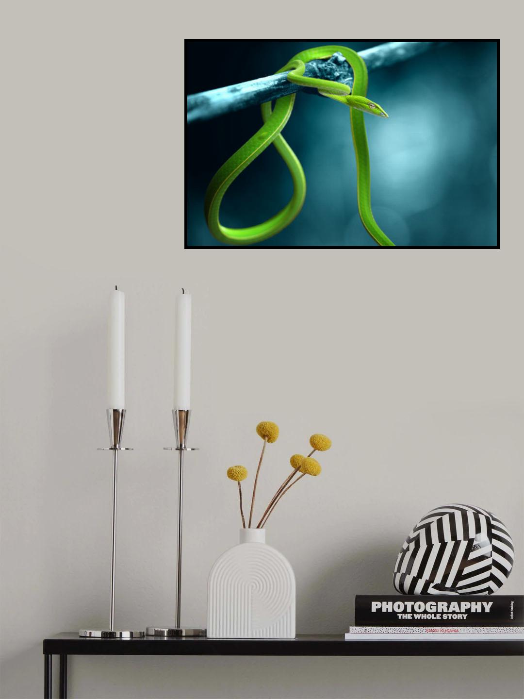 green snake Poster och Canvastavla