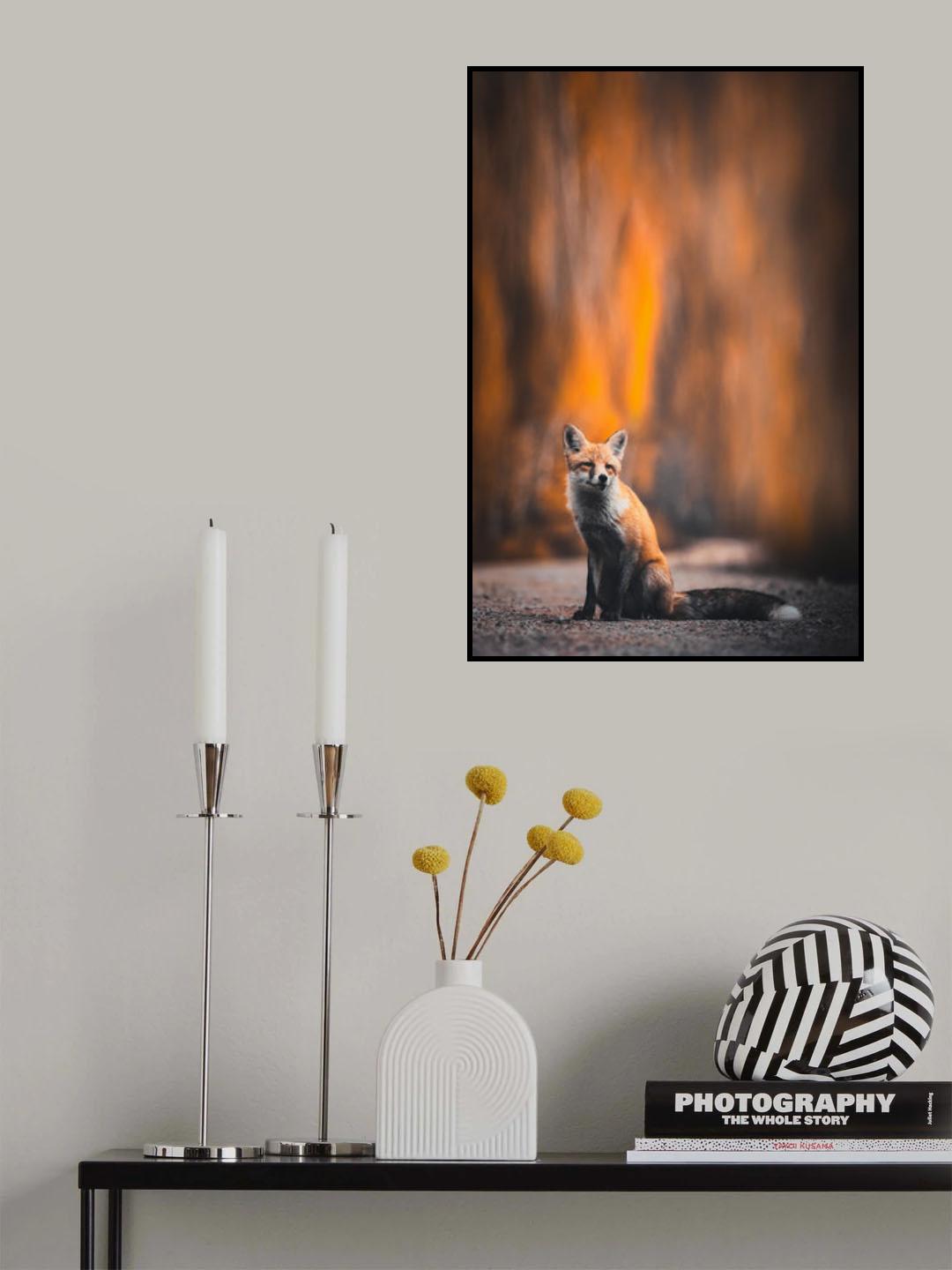 Fox Poster och Canvastavla