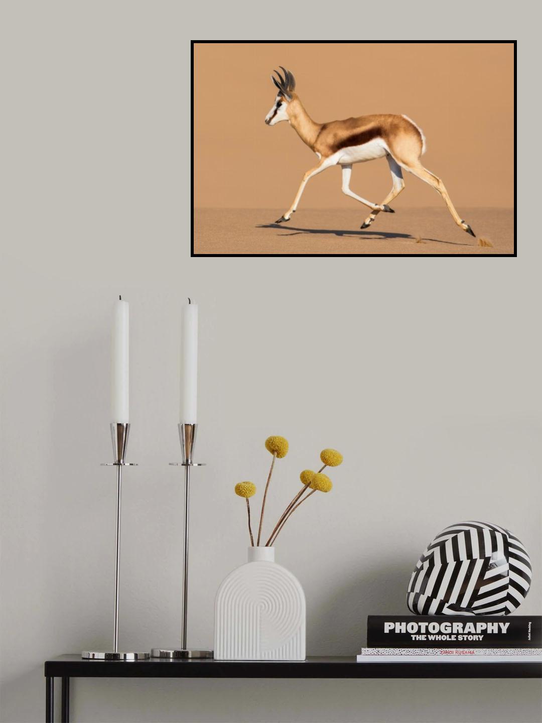 Ride the Dune Poster och Canvastavla