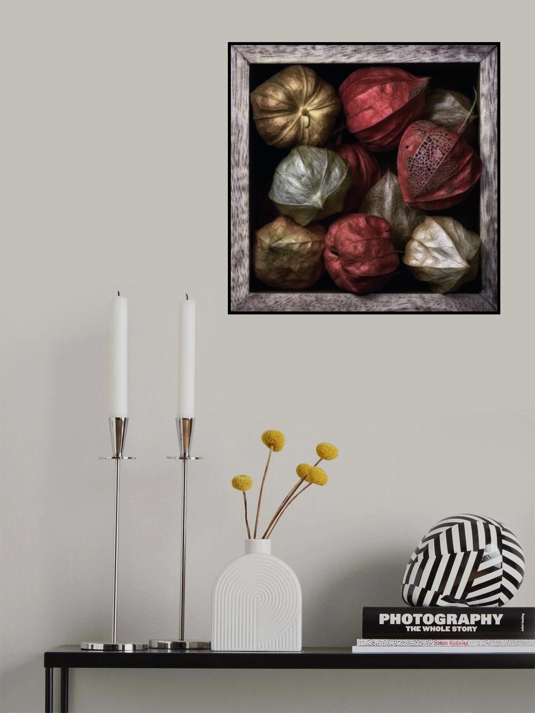 Physalis in a box Poster och Canvastavla