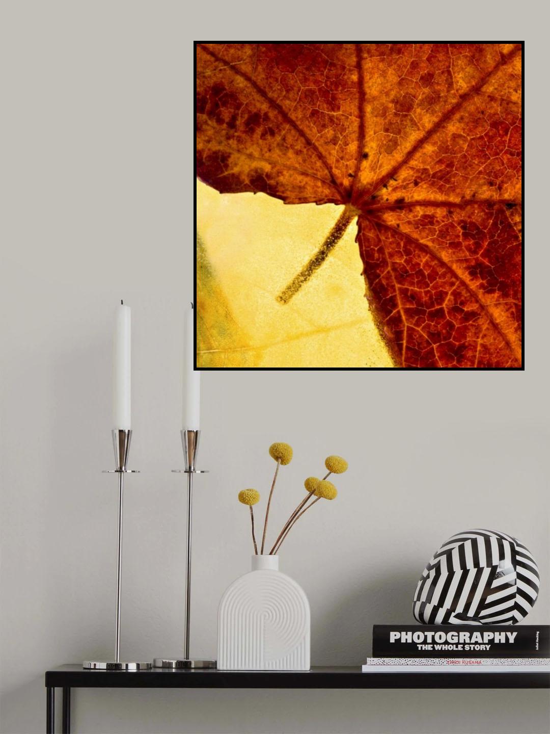 When autumn slides into winter Poster och Canvastavla
