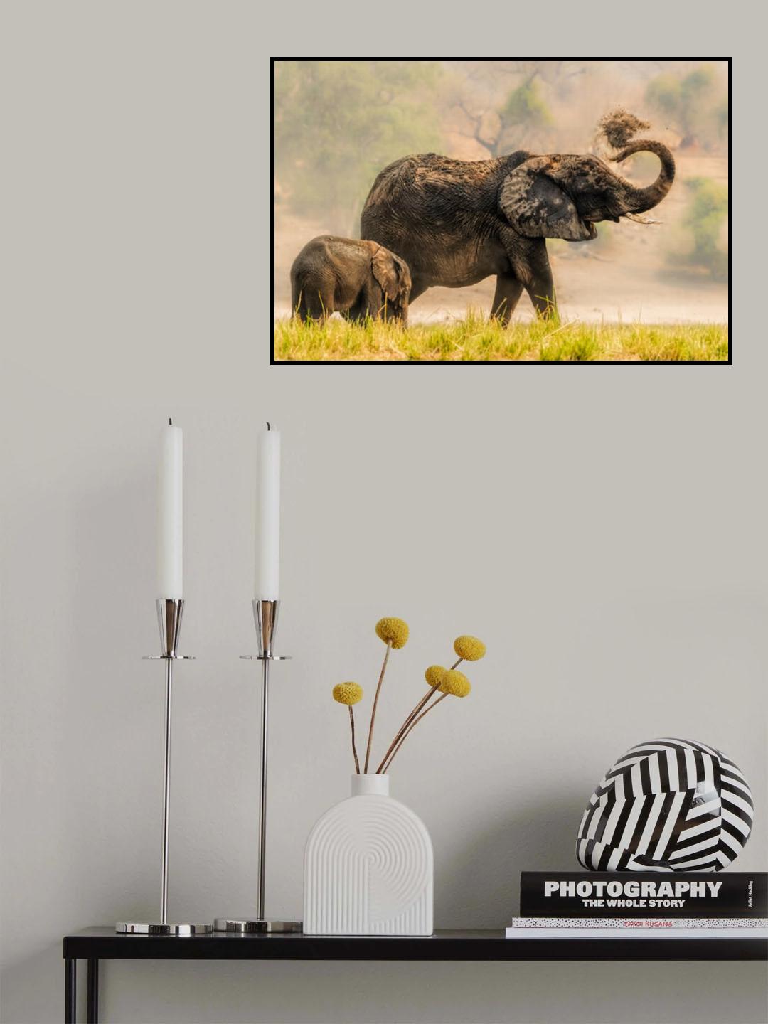 Get Covered Poster och Canvastavla