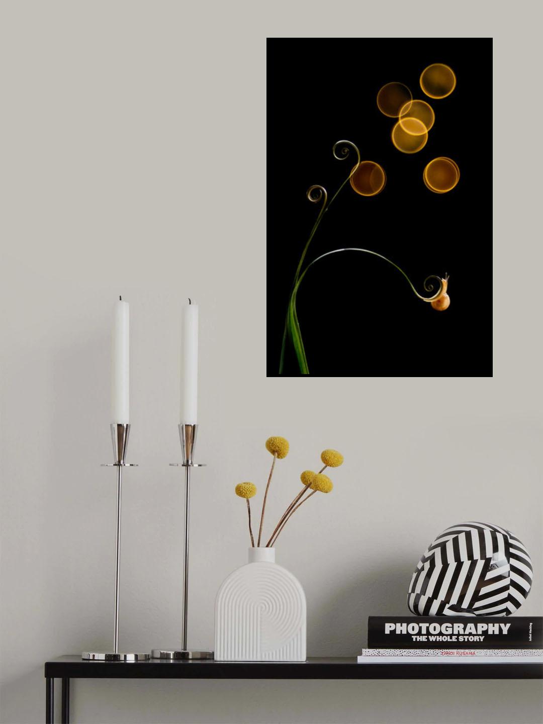 The Snail and Light Poster och Canvastavla