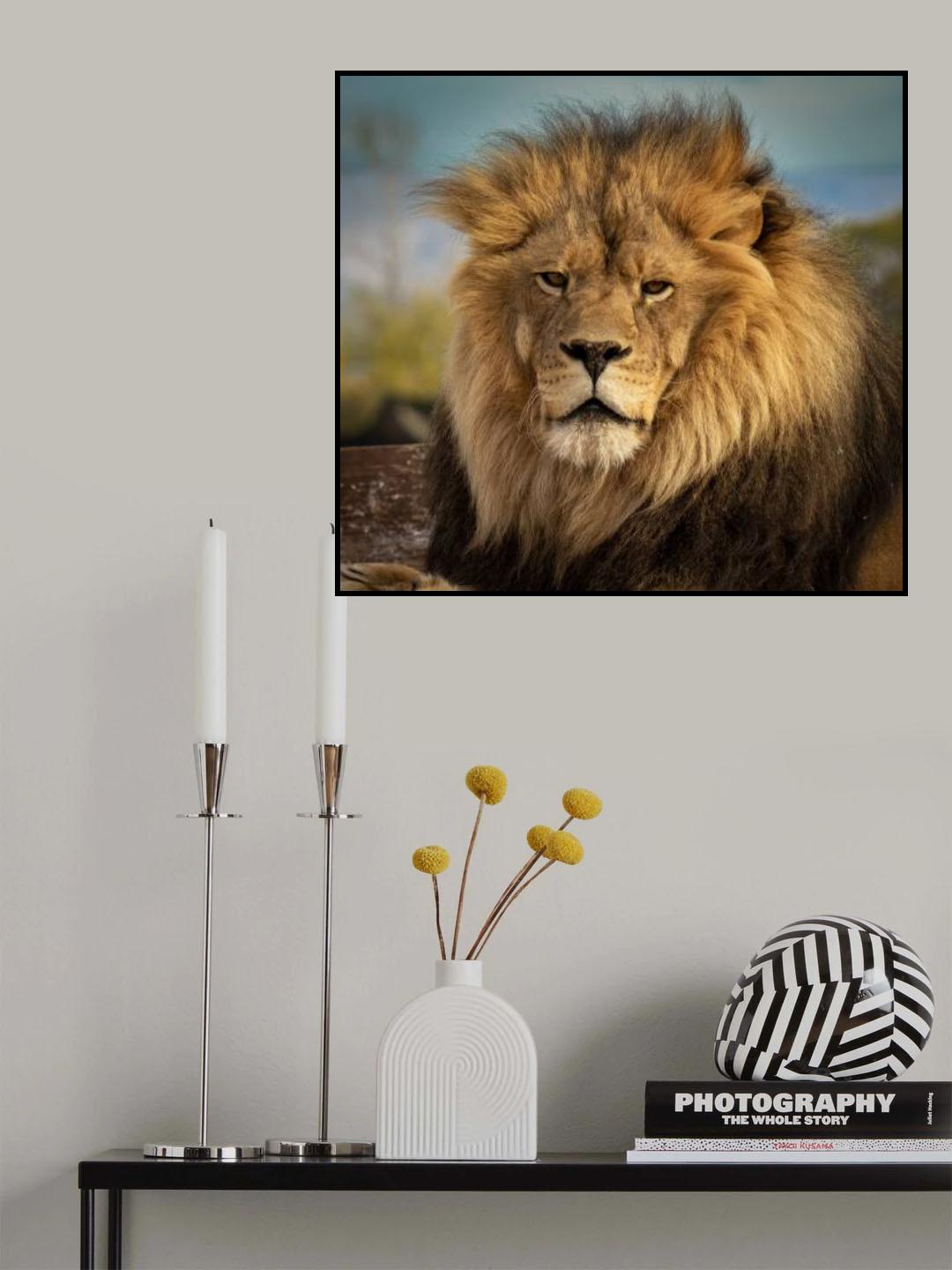 Majestic beast Poster och Canvastavla