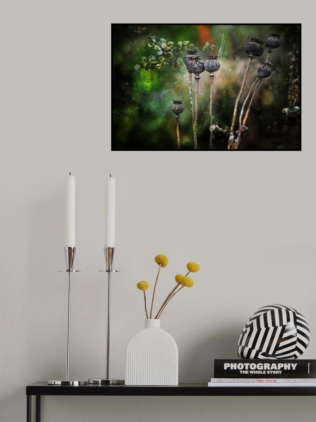 Colours Of Impermanence Poster och Canvastavla