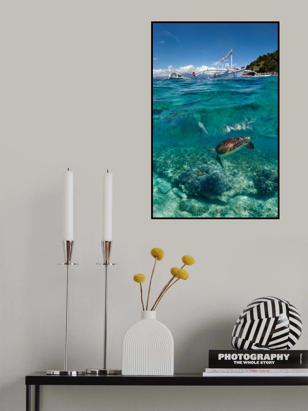 Dive to Philippines Poster och Canvastavla