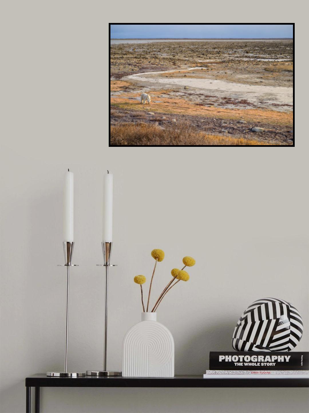 Tundra Walker Poster och Canvastavla