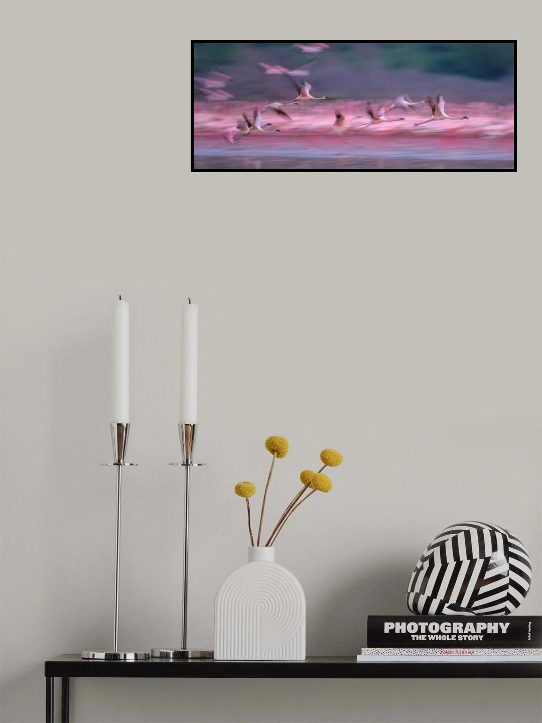 Flamingos in Dawn Poster och Canvastavla
