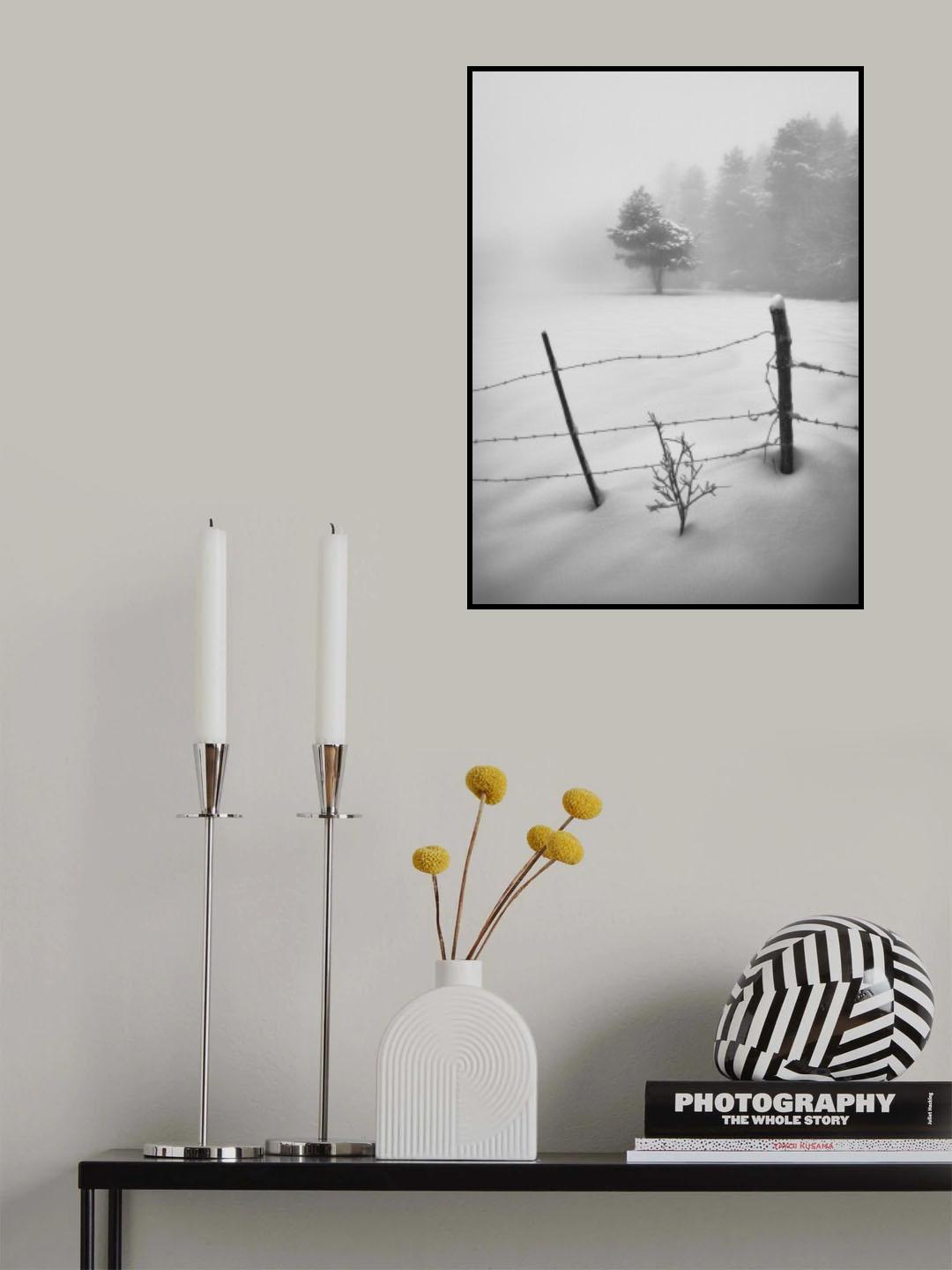 Rebirth Poster och Canvastavla