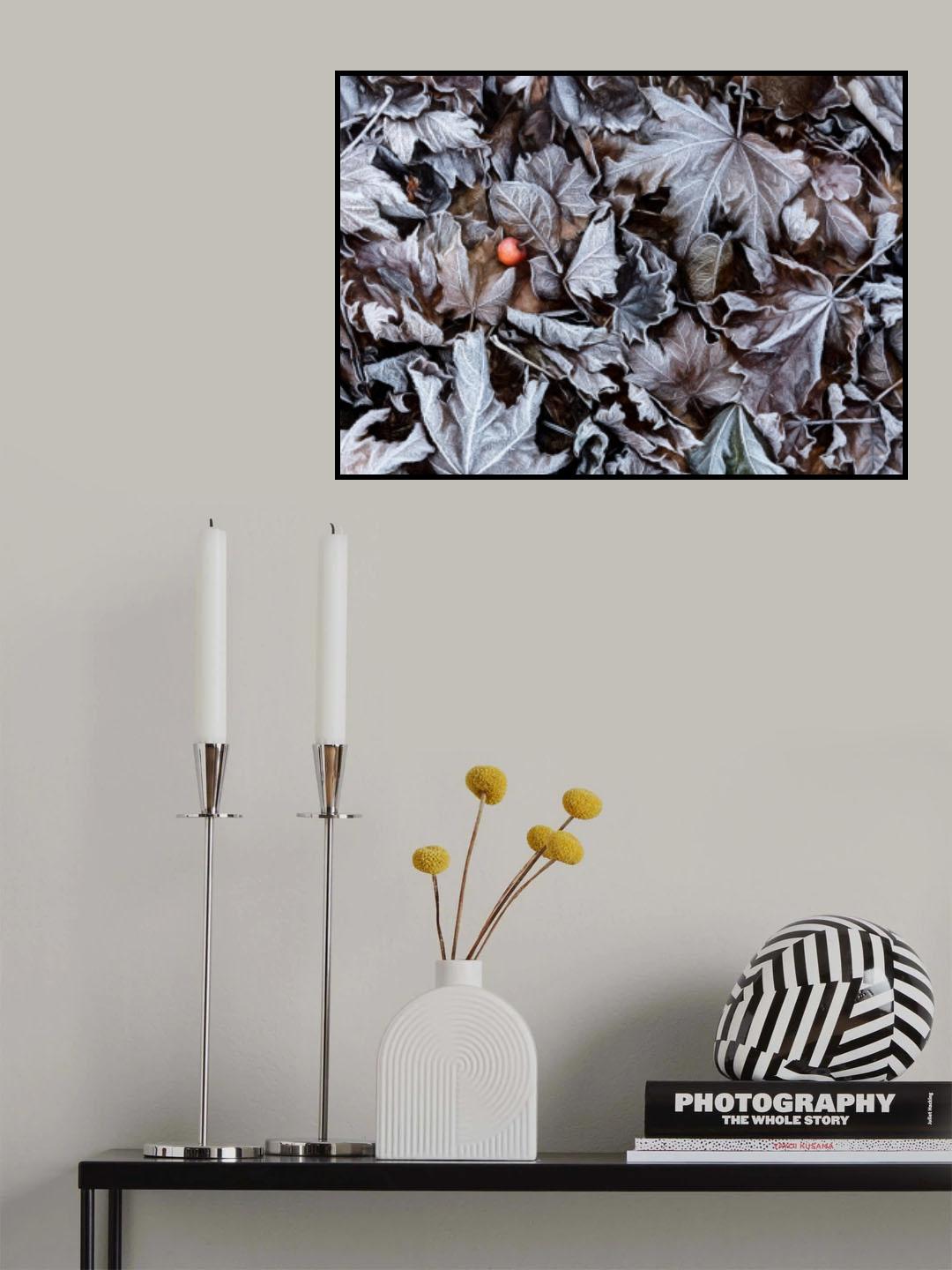 Frozen leaves Poster och Canvastavla