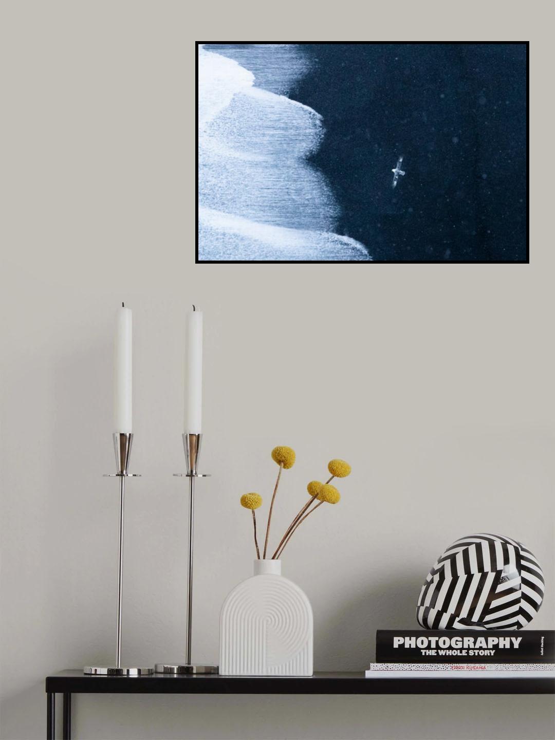 Brave seagull Poster och Canvastavla