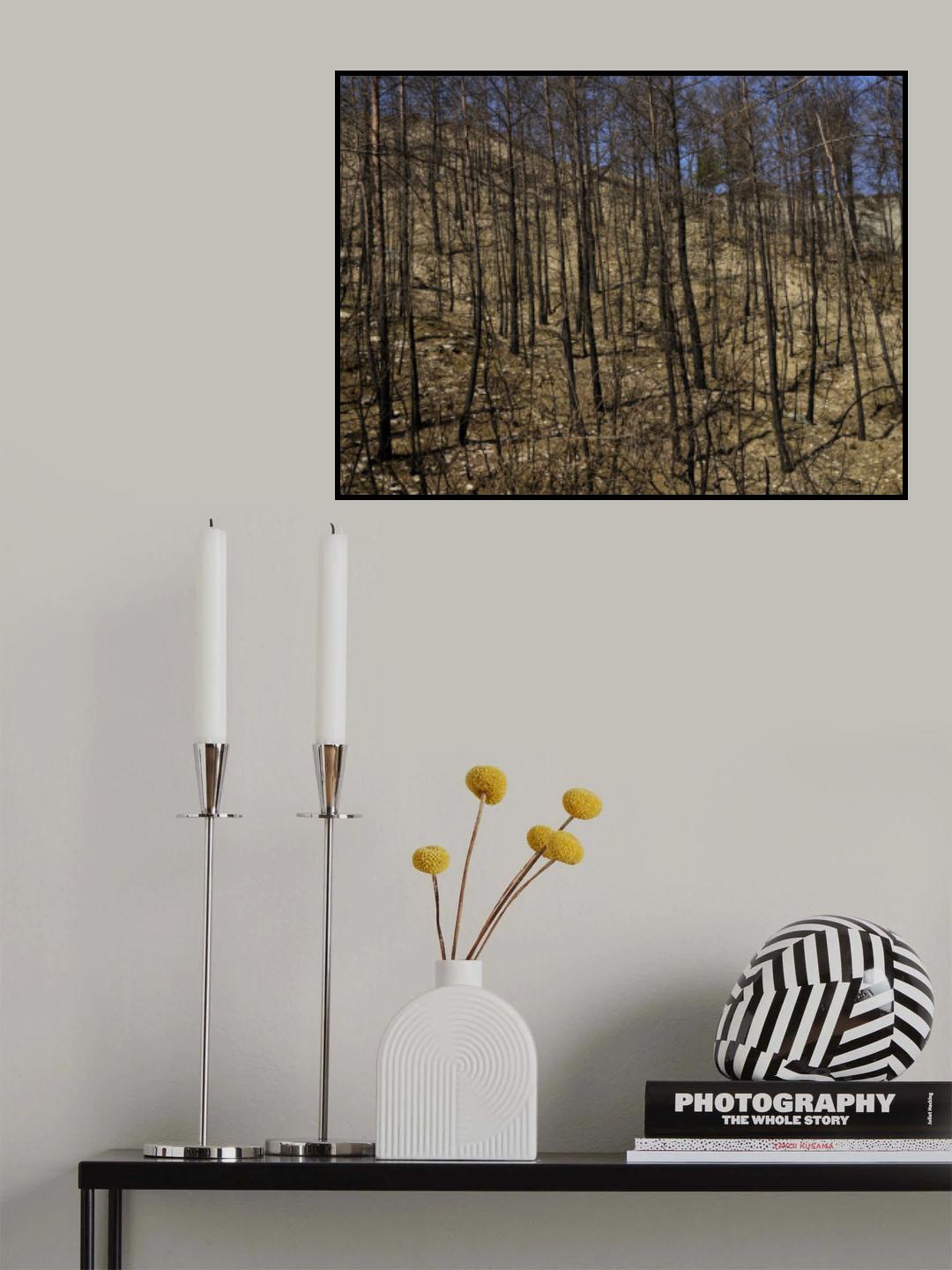burnt trees in the forest Poster och Canvastavla