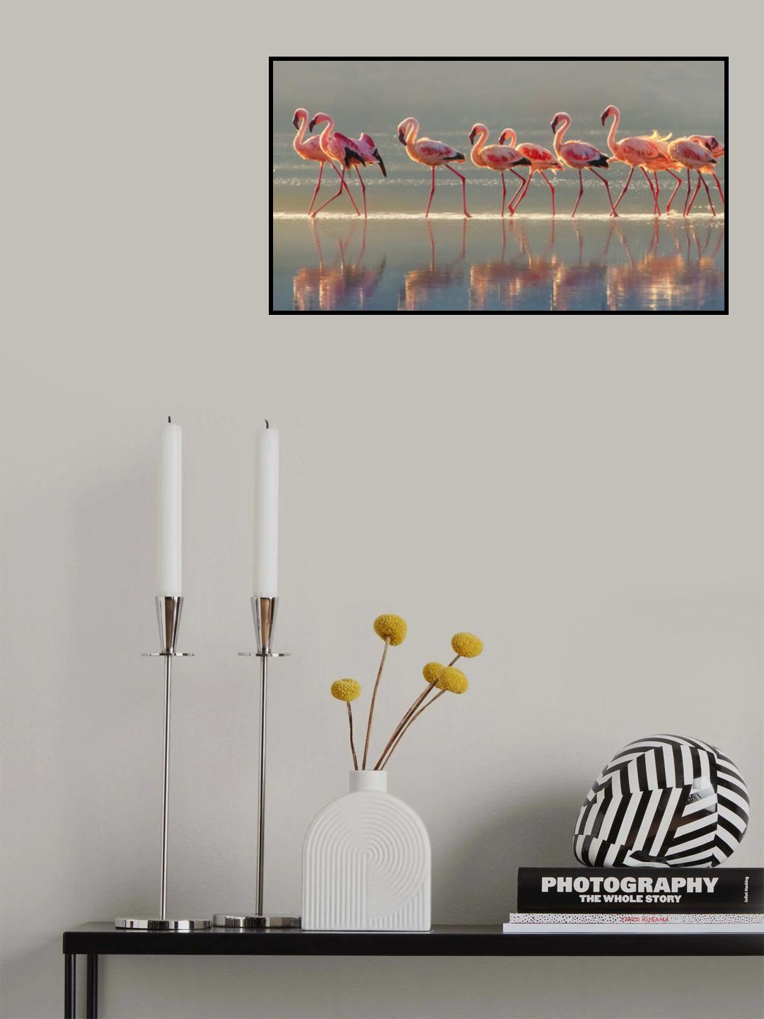 Flamingo Poster och Canvastavla