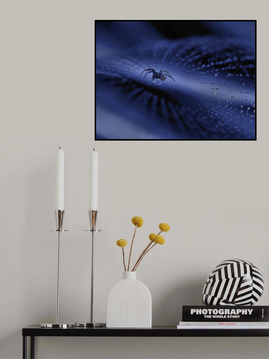 Back to infinity... Poster och Canvastavla