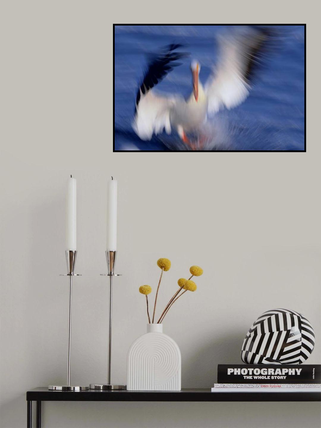 Pelican Poster och Canvastavla