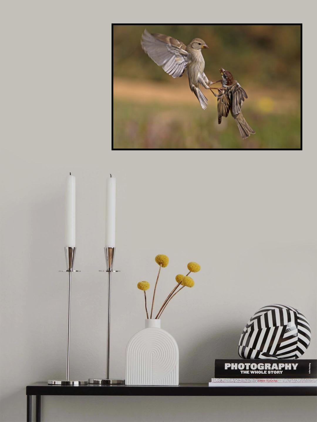 dogfights Poster och Canvastavla