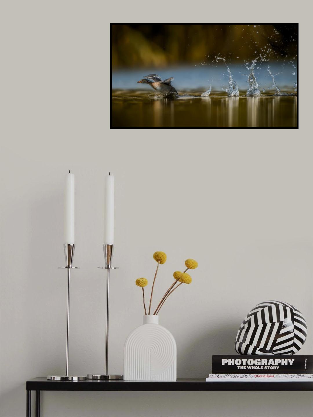 Run Away Poster och Canvastavla