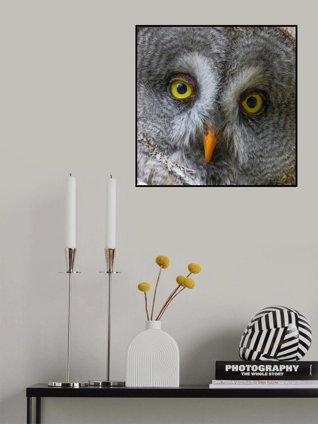 Bartkauz Poster och Canvastavla