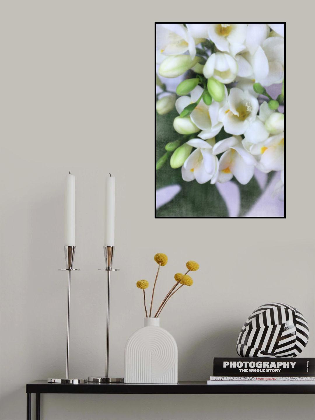 Distressed freesias I Poster och Canvastavla