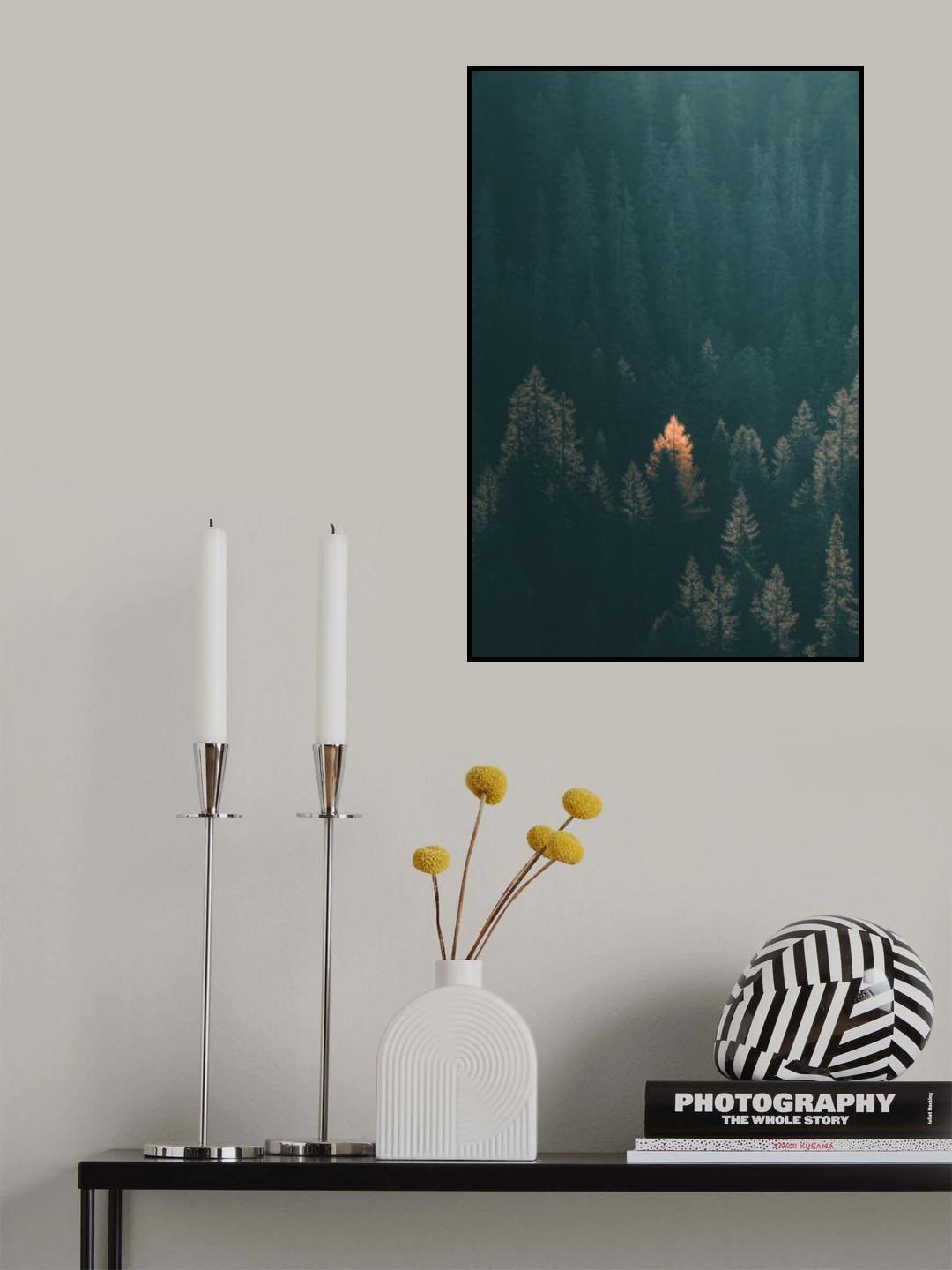 Sunrise Poster och Canvastavla