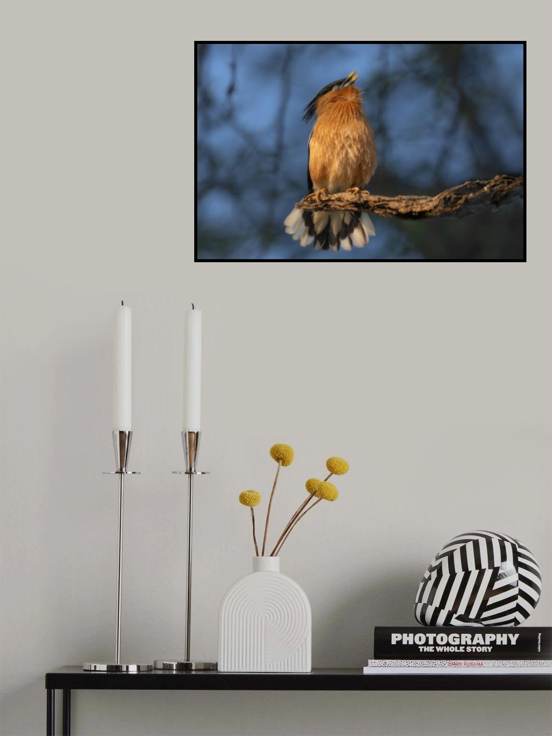 Poster och Canvastavla