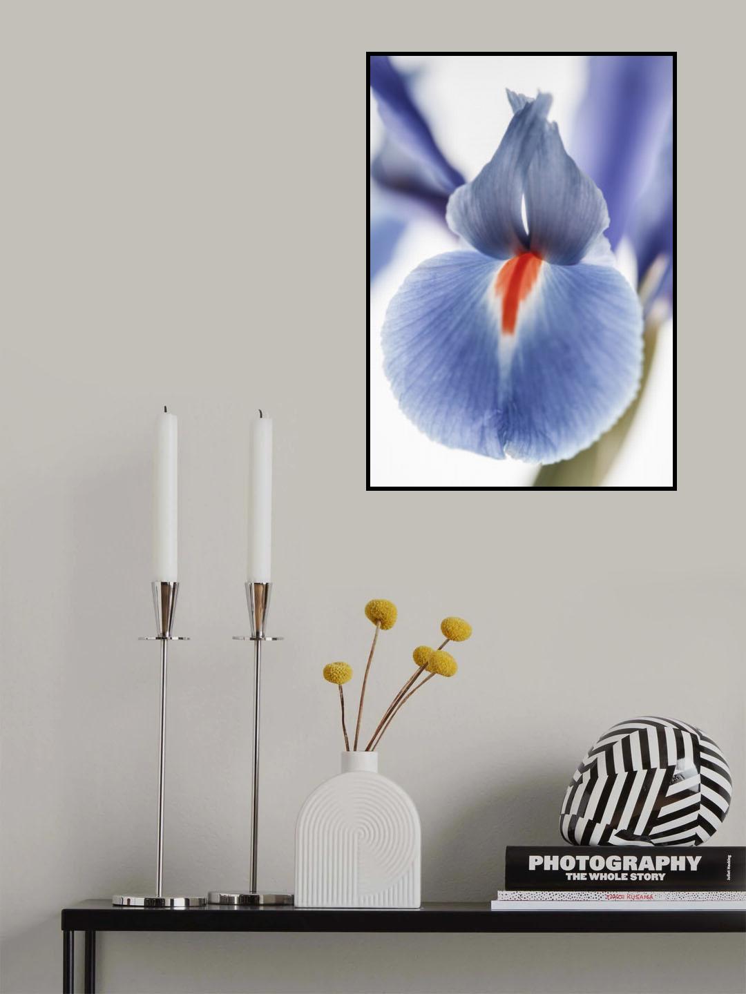 Lilly Poster och Canvastavla