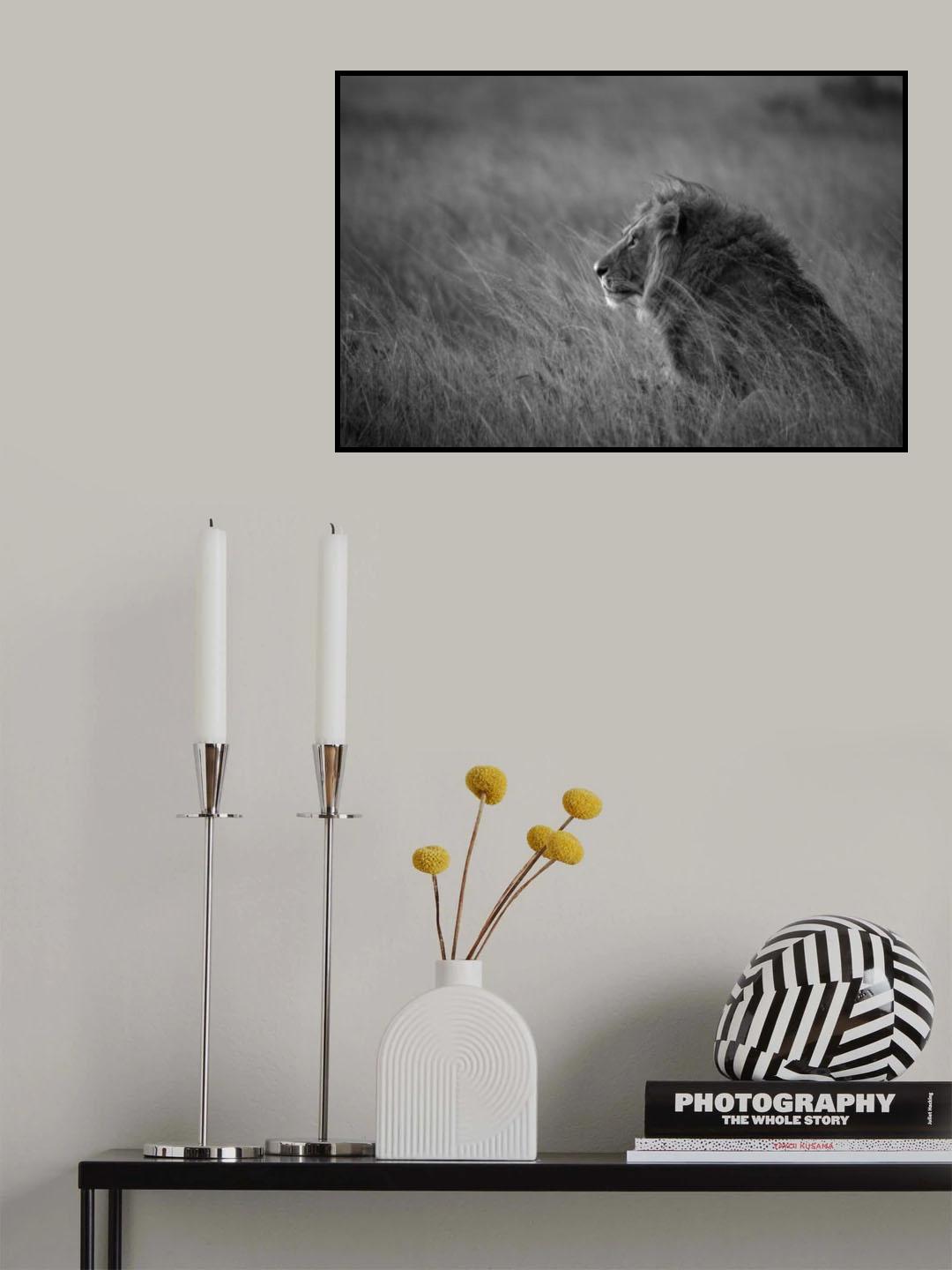 Lion King Poster och Canvastavla