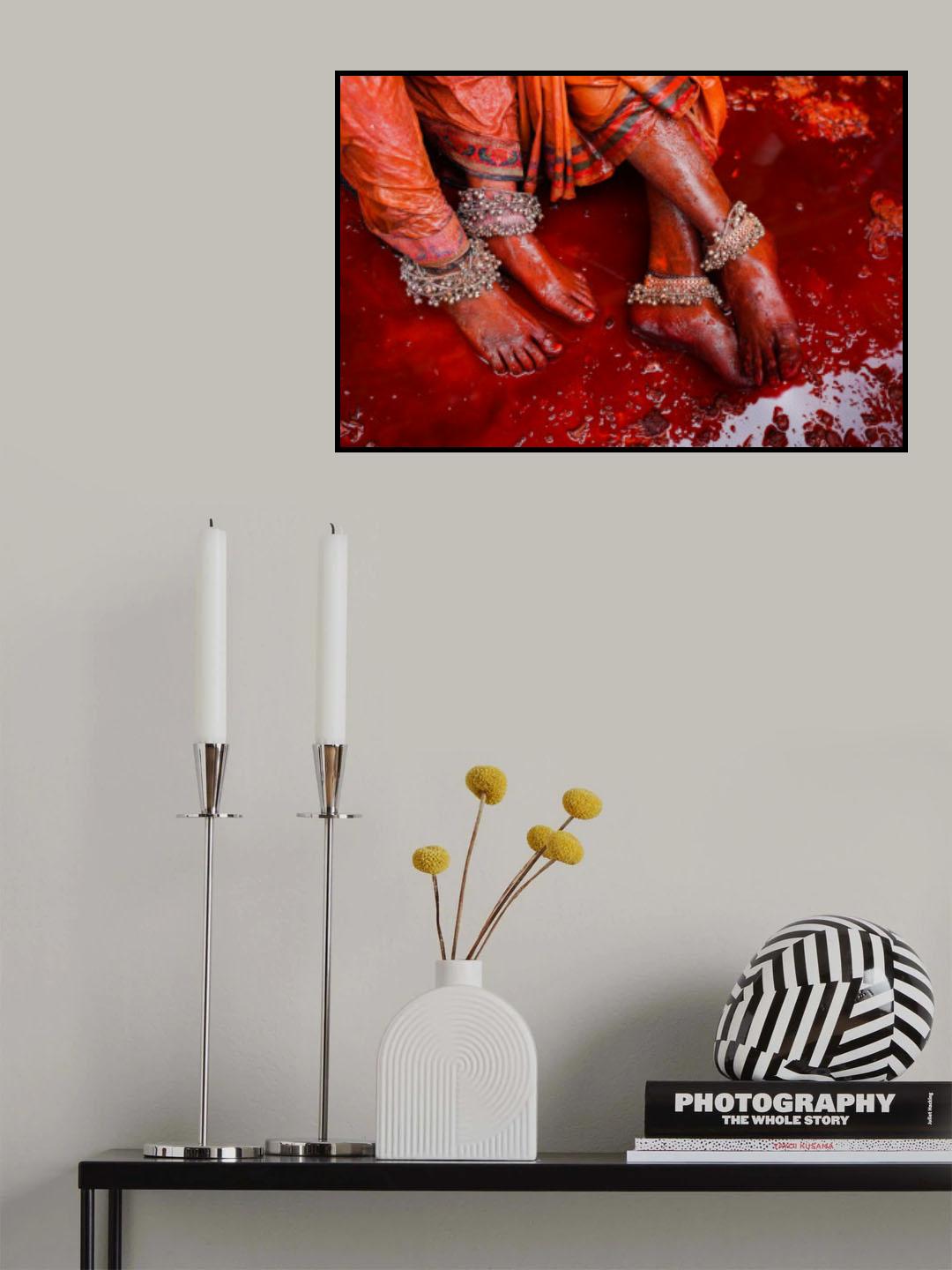 Cardinal Cadence Poster och Canvastavla