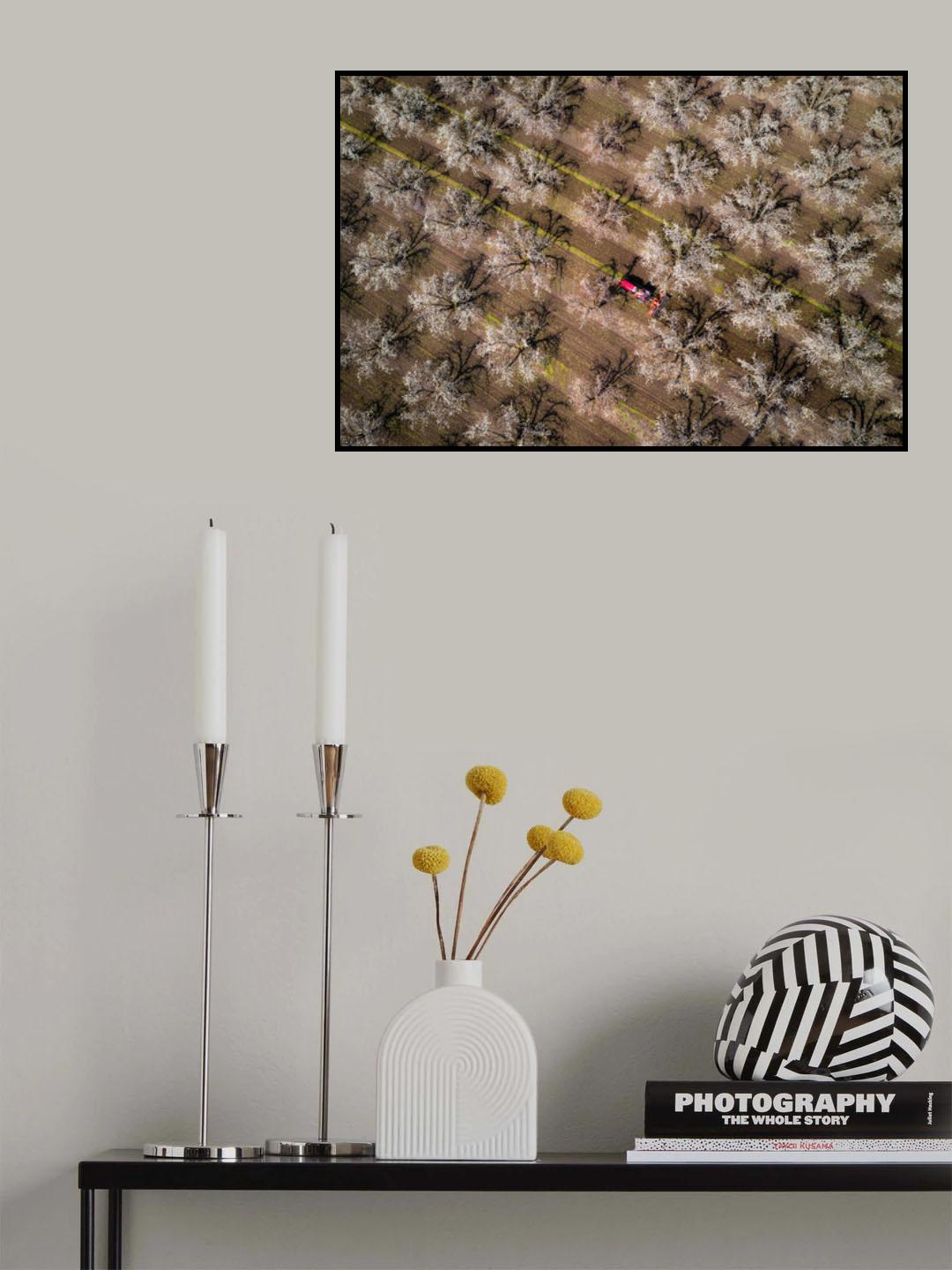Spring time! Poster och Canvastavla