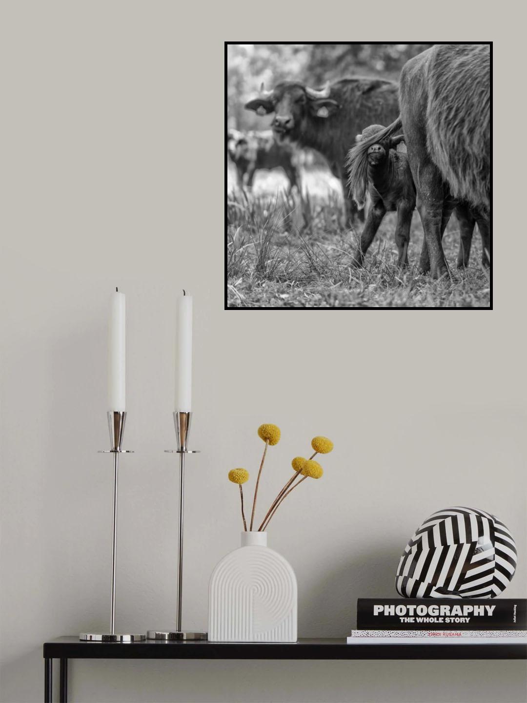 Hide and seek Poster och Canvastavla