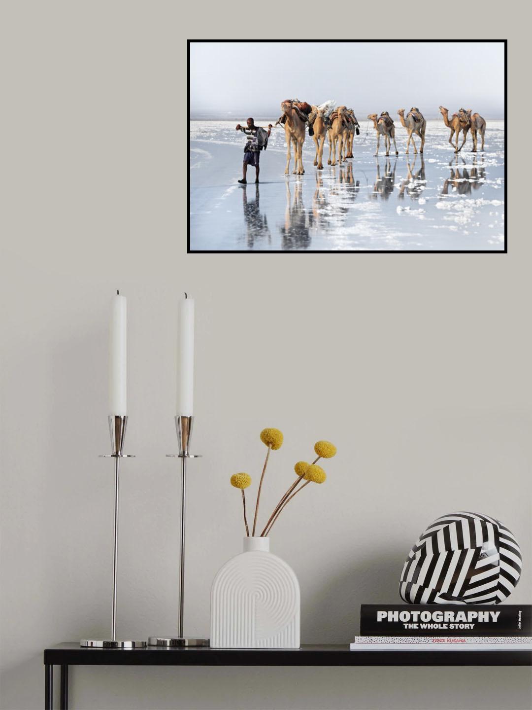 Caravan of salt Poster och Canvastavla