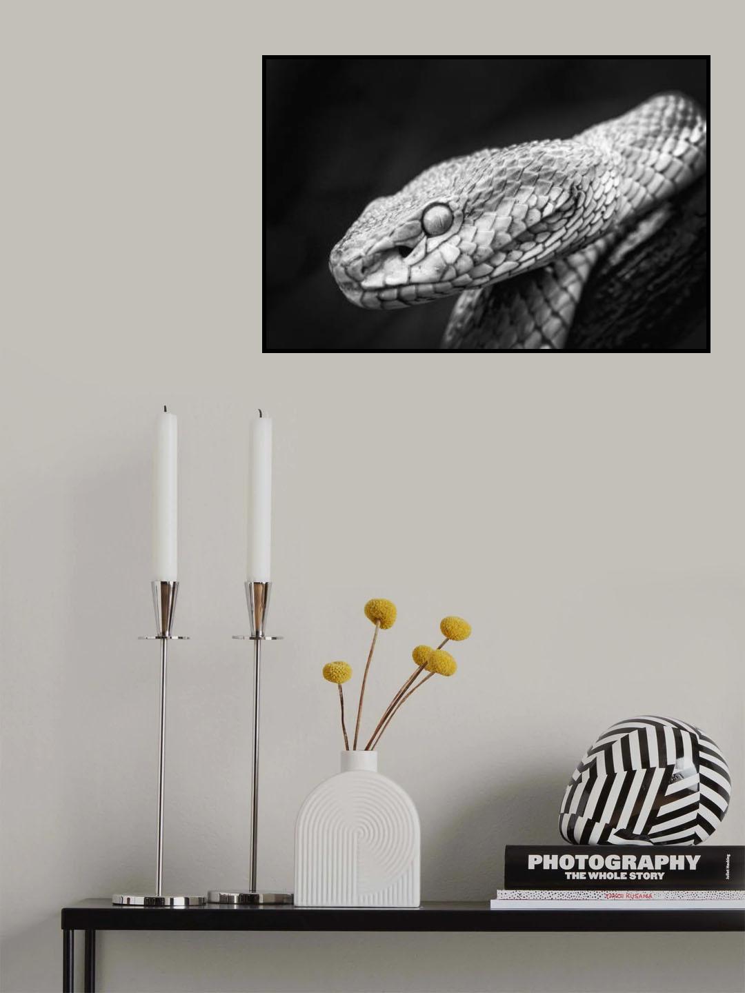 Waiting Patiently Poster och Canvastavla