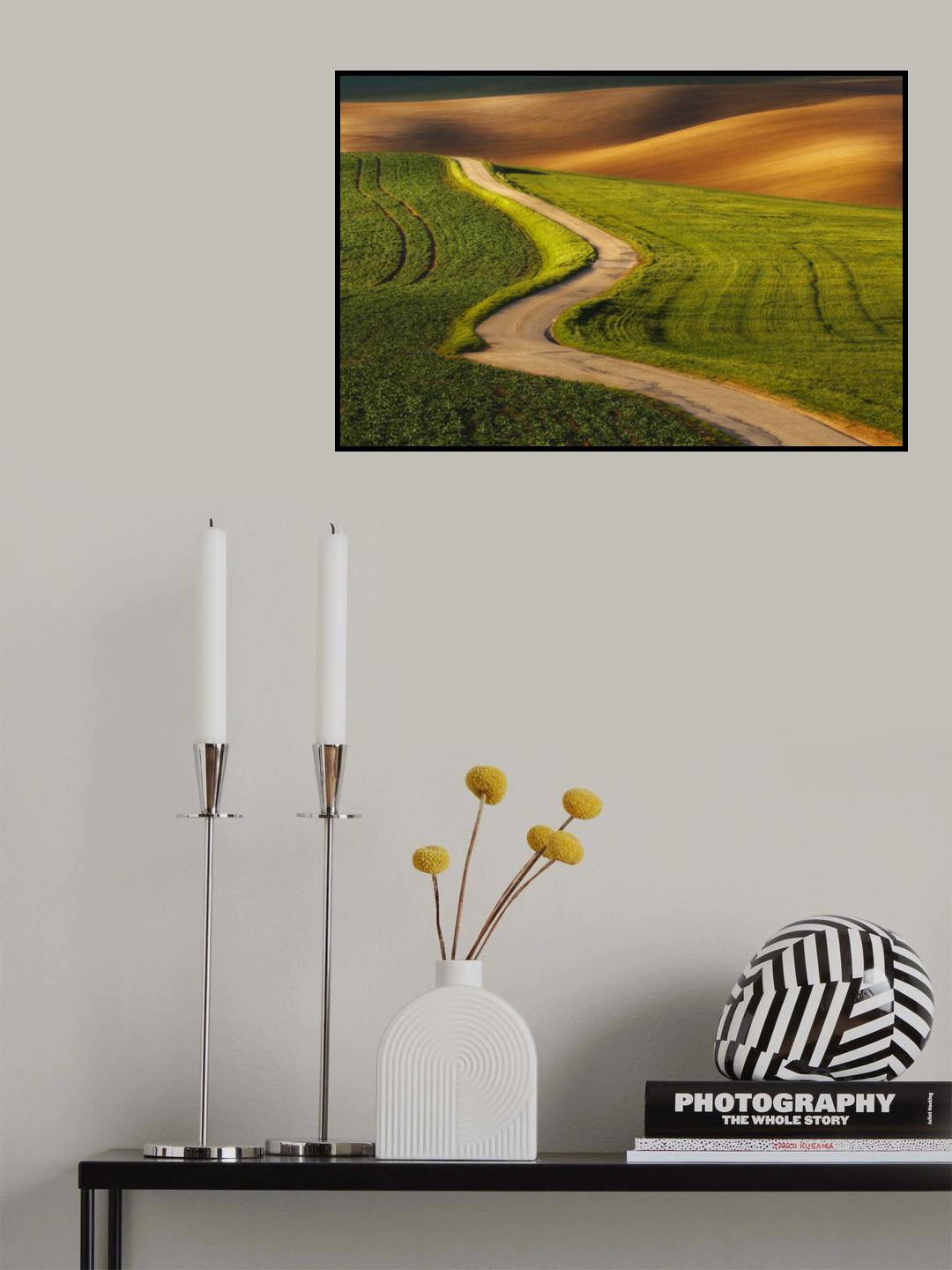 My path Poster och Canvastavla