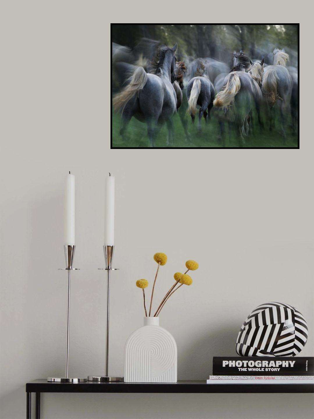 in the gallop Poster och Canvastavla