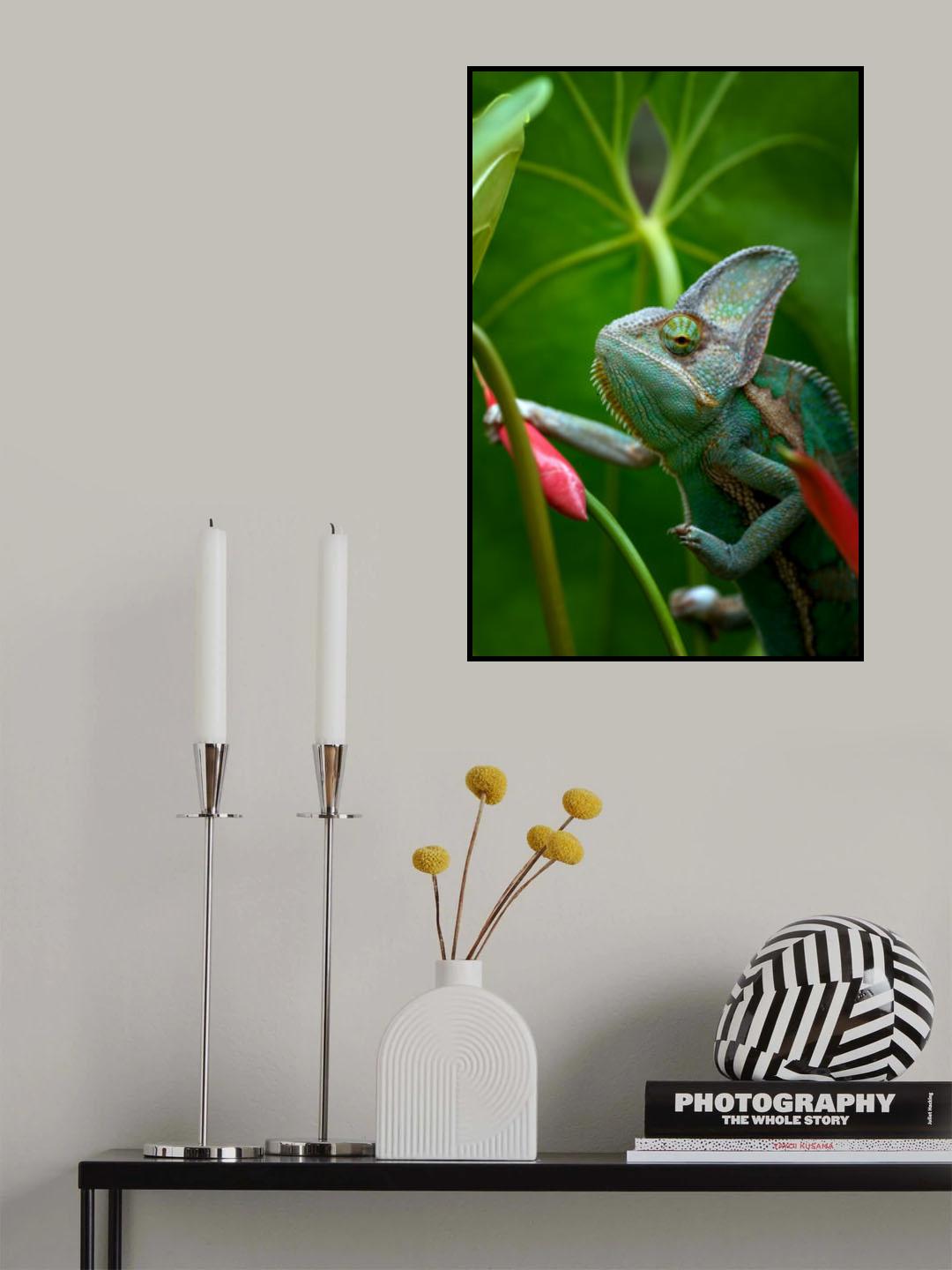 Veiled chameleon in green environment Poster och Canvastavla