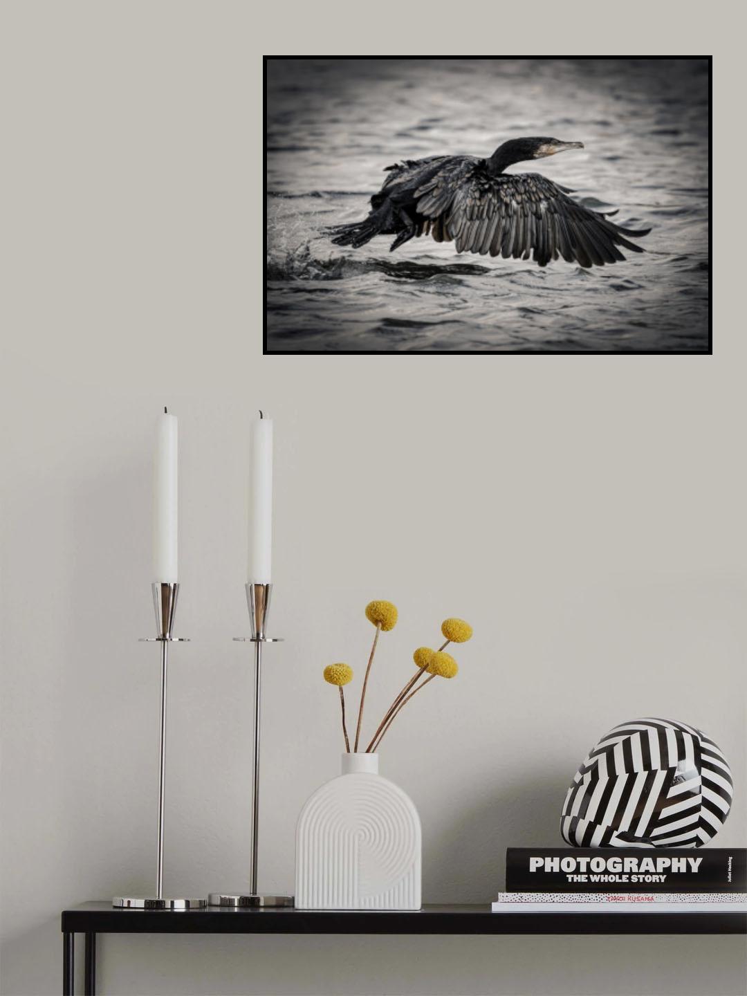 Early bird Poster och Canvastavla