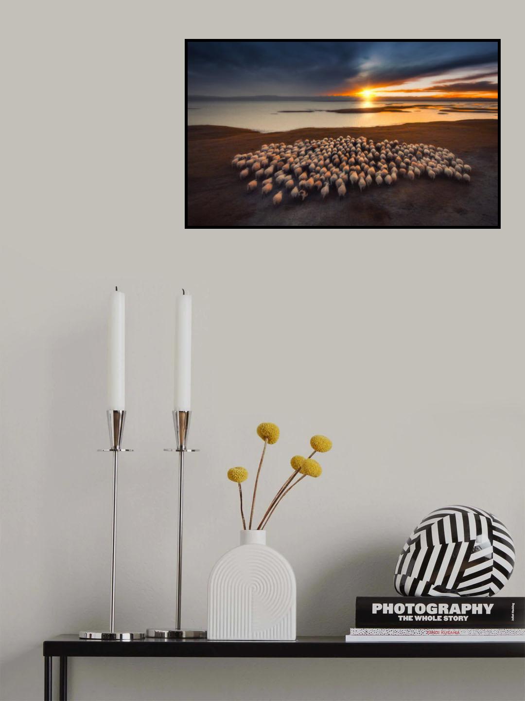 Flocks of flocks at dusk Poster och Canvastavla